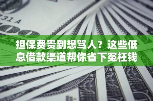 济南担保费贵到想骂人？这些低息借款渠道帮你省下冤枉钱