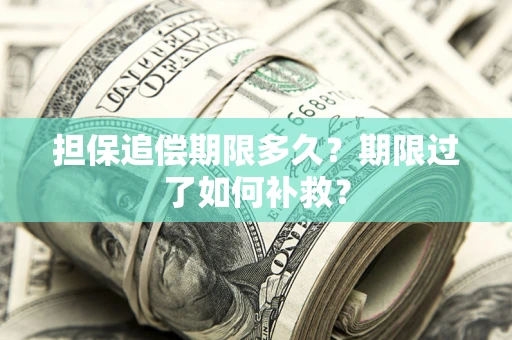 济南担保追偿期限多久？期限过了如何补救？