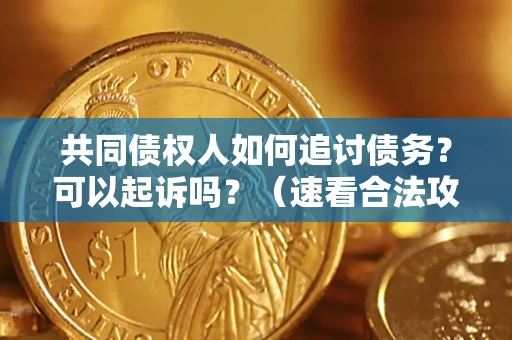 济南共同债权人如何追讨债务？可以起诉吗？（速看合法攻略）
