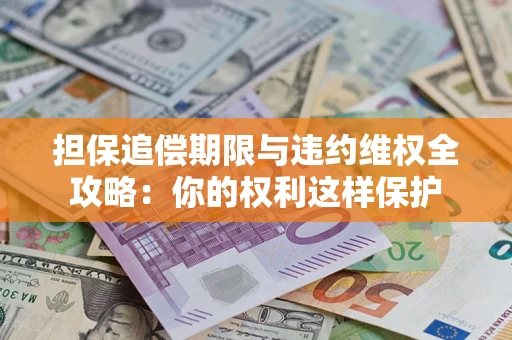 济南担保追偿期限与违约维权全攻略：你的权利这样保护