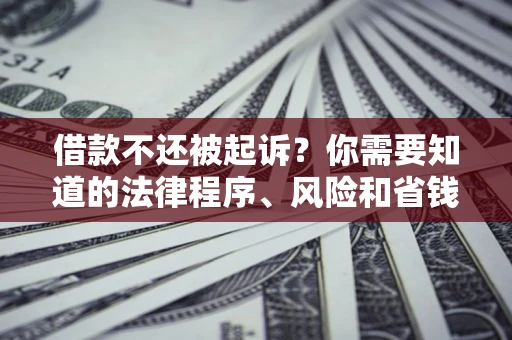 济南借款不还被起诉？你需要知道的法律程序、风险和省钱技巧